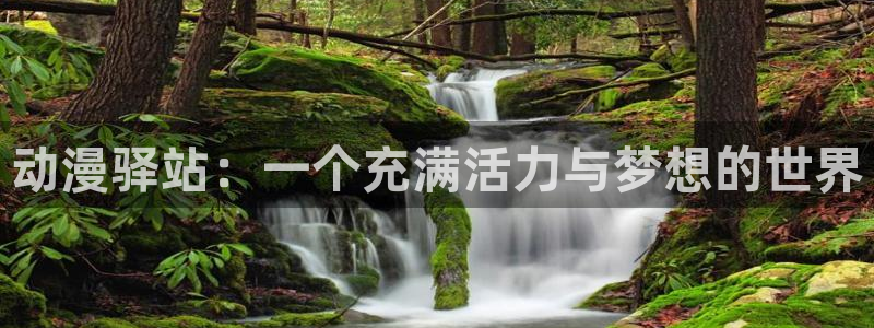 拷贝漫画 copymanager.ory网站