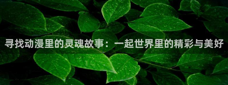 拷贝漫画 copymanager.ory网站