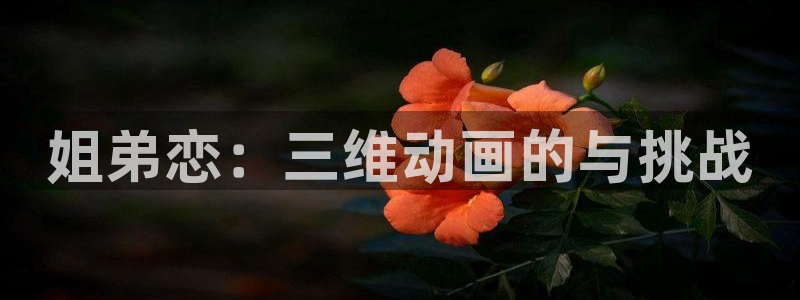 age动漫官网在线入口