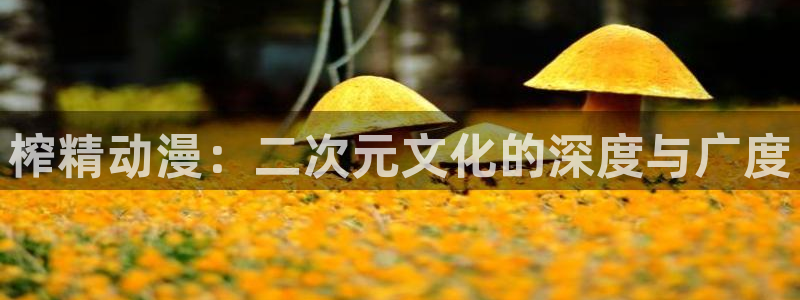 age动漫omofun