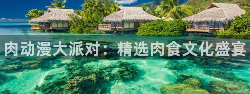 age动漫官网入口老版本：肉动漫大派对：精选肉食文化盛宴