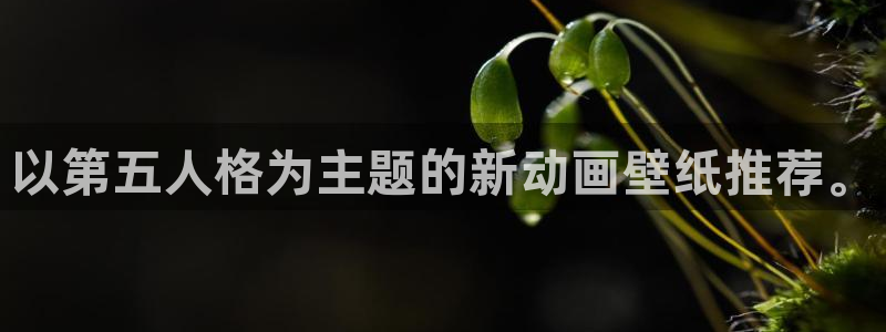 age动漫正版网：以第五人格为主题的新动画壁纸推荐。