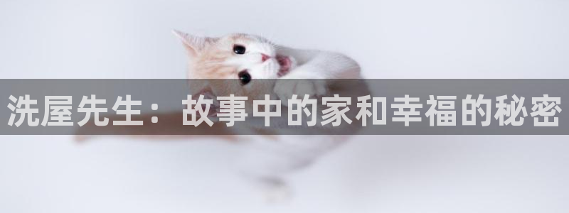 age动漫网官网入口：洗屋先生：故事中的家和幸福的秘密