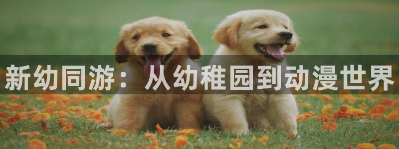 age樱花动漫：新幼同游：从幼稚园到动漫世界