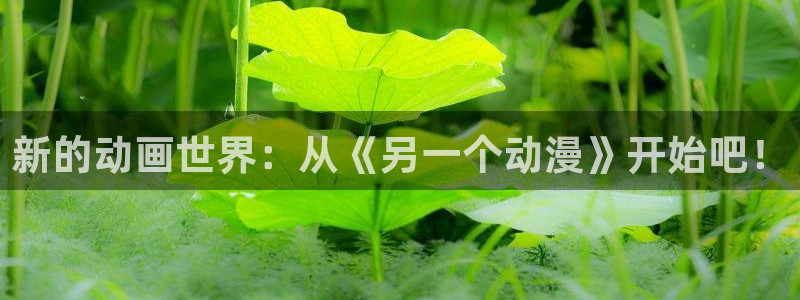 backstage韩漫免费观看：新的动画世界：从《另一个动漫》开始吧！