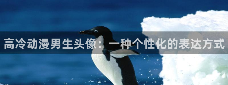 age动漫：高冷动漫男生头像：一种个性化的表达方式
