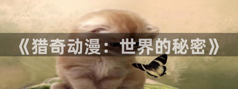 age动漫下载：《猎奇动漫：世界的秘密》