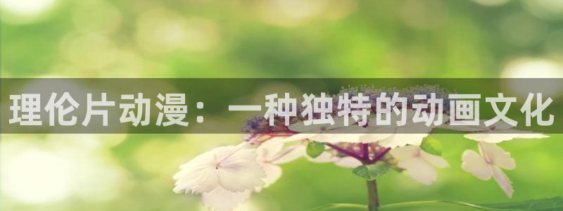 age动漫专注动漫的门户网站：理伦片动漫：一种独特的动画文化