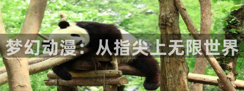 age动漫专注动漫的门户网站：梦幻动漫：从指尖上无限世界