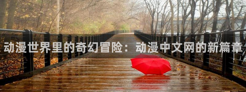 在线动画动漫下载age动漫：动漫世界里的奇幻冒险：动漫中文网的新篇章
