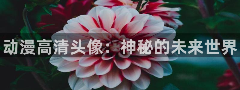 韩国漫画平台kakaopage：动漫高清头像：神秘的未来世界