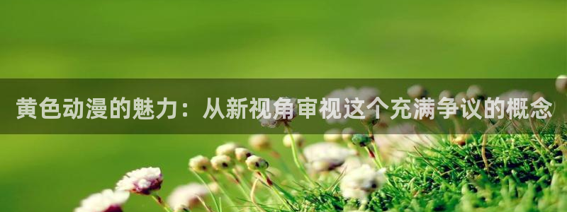 age动漫网：黄色动漫的魅力：从新视角审视这个充满争议的概念