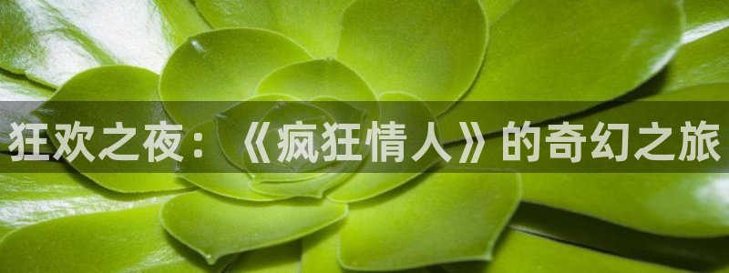 在线动画动漫下载age动漫：狂欢之夜：《疯狂情人》的奇幻之旅