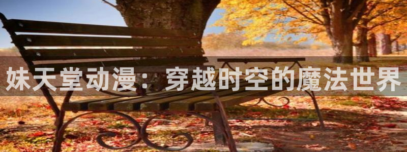 age动漫官网入口老版本：妹天堂动漫：穿越时空的魔法世界