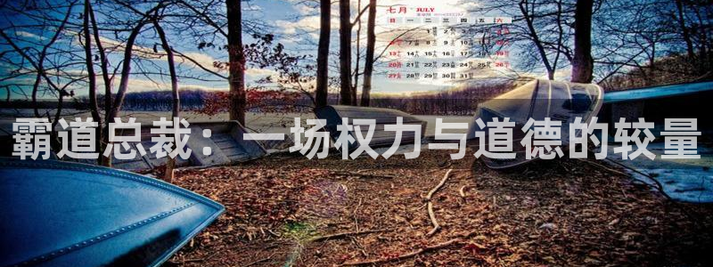 age动漫网上看：霸道总裁：一场权力与道德的较量