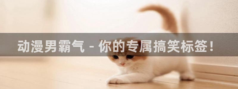 age动漫樱花：动漫男霸气 - 你的专属搞笑标签！