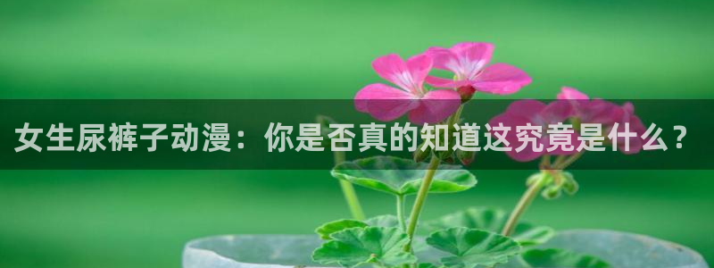 age动漫网下载