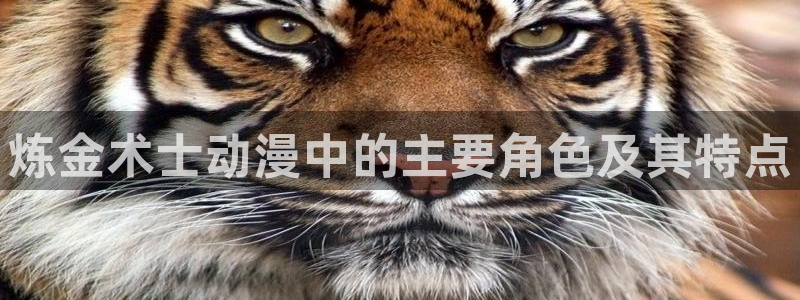 colomanage漫画官网