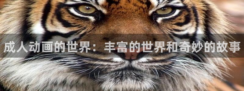 age动漫网官网入口