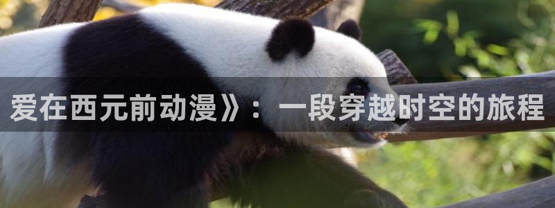 age动漫网官网入口