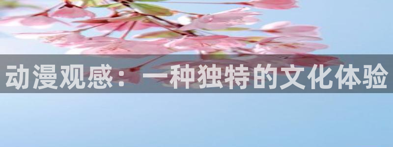age专注动漫的门户网站