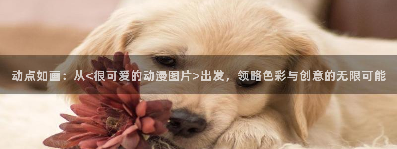 age专注动漫的门户网站