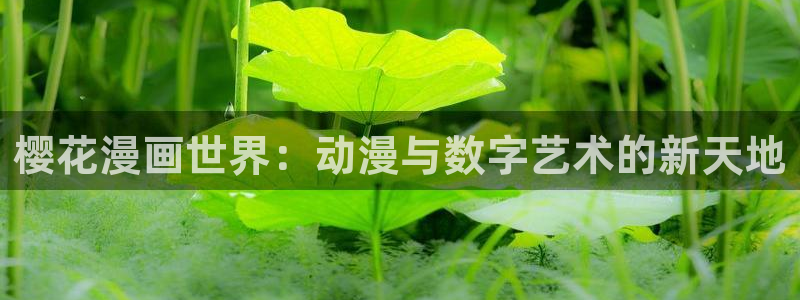 age动漫官网版入口