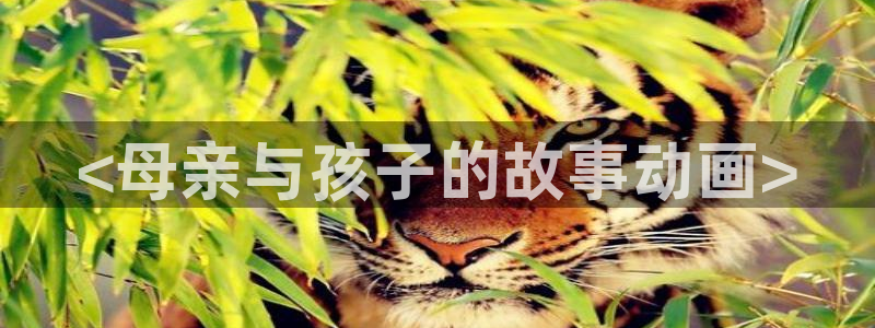 age动漫正版网