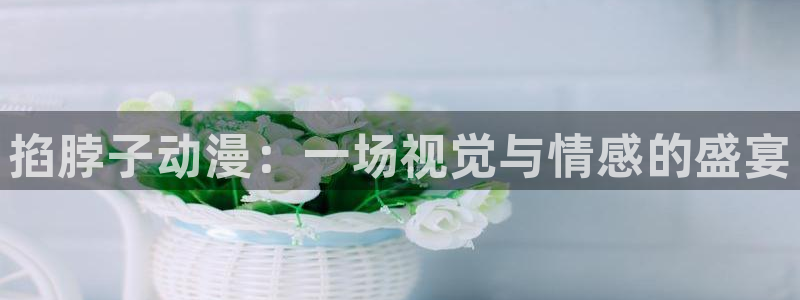 age动漫网上看