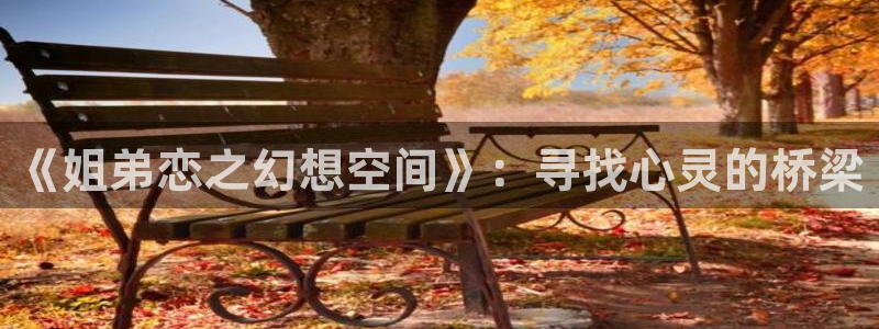 colamanage漫画官网：《姐弟恋之幻想空间》：寻找心灵的桥梁