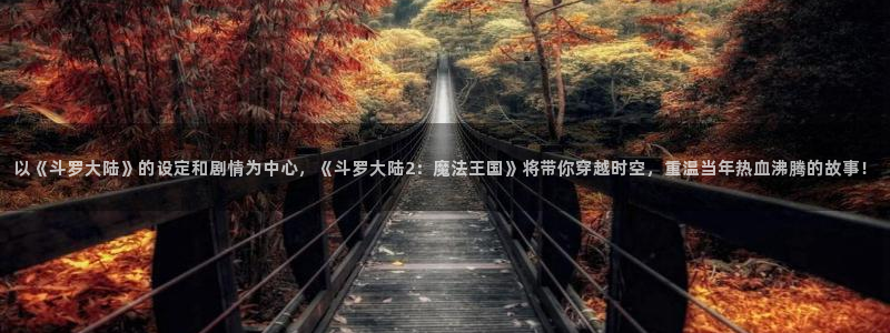 下载age动漫：以《斗罗大陆》的设定和剧情为中心，《斗罗大陆2：魔法王国》将带你穿越时空，重温当年热血沸腾的故事！