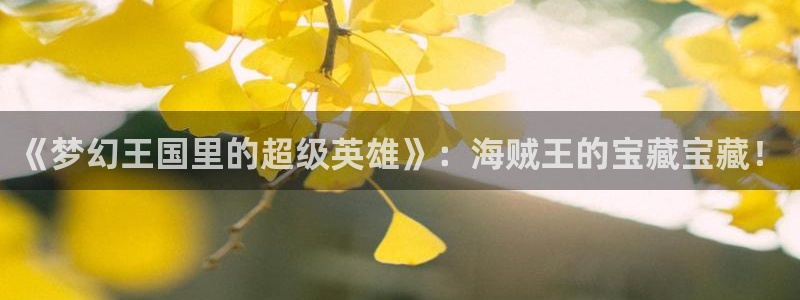 age动漫：《梦幻王国里的超级英雄》：海贼王的宝藏宝藏！
