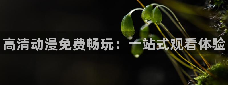 age动漫下载入口：高清动漫免费畅玩：一站式观看体验
